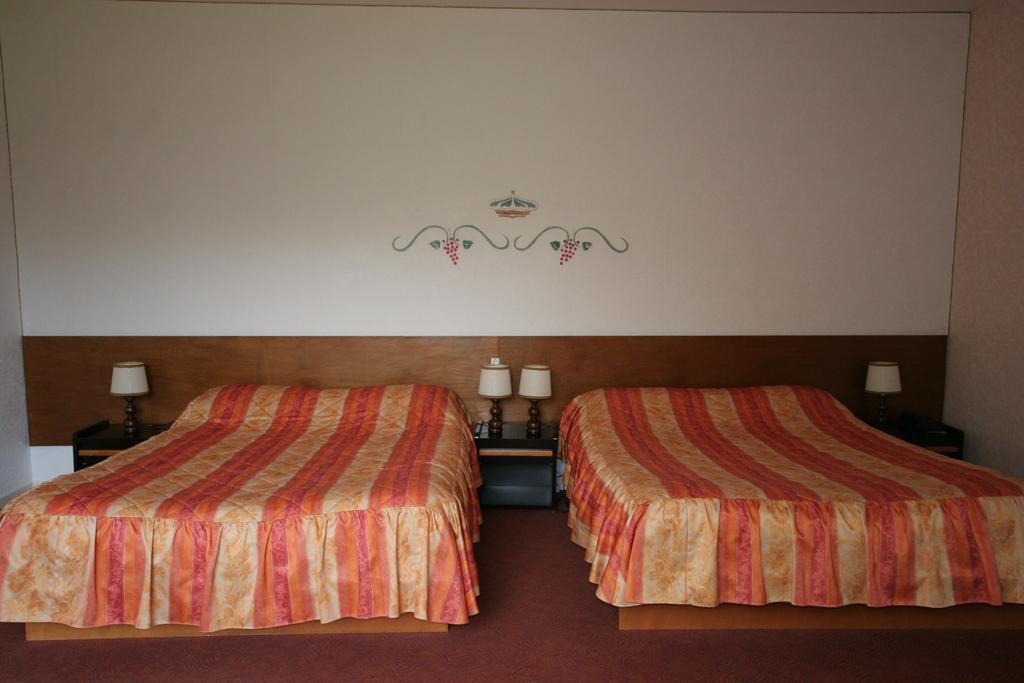 Logis Hotel Relais Paris Bale - Restaurant La Mangeoire Montieramey Esterno foto